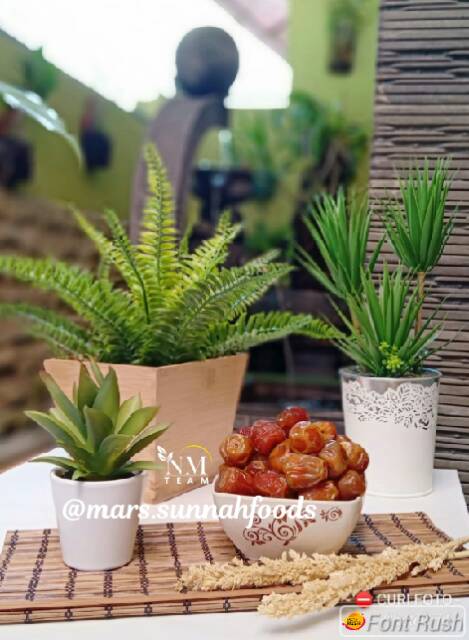 

Kurma Sukkari Basah Premium 1 Kg