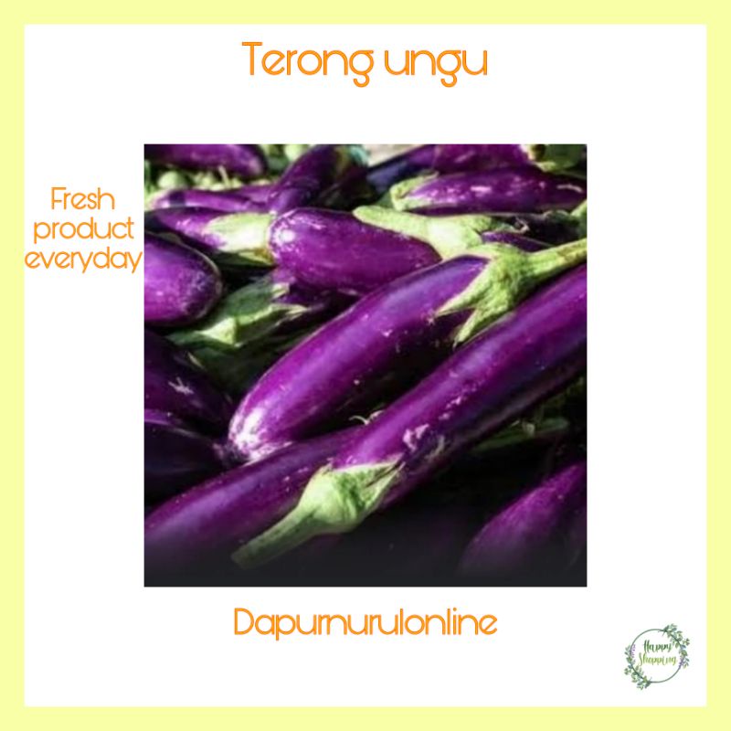 

Terong ungu 250 gr - 1 kg