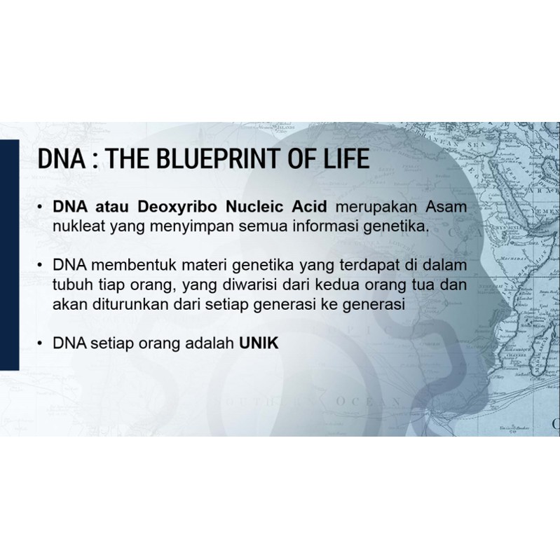 Alat Tes Dna Termurah Terkini Dna Kit Test Plus 4 Jenis Report Health Skin Diet Dan Sport Indonesia
