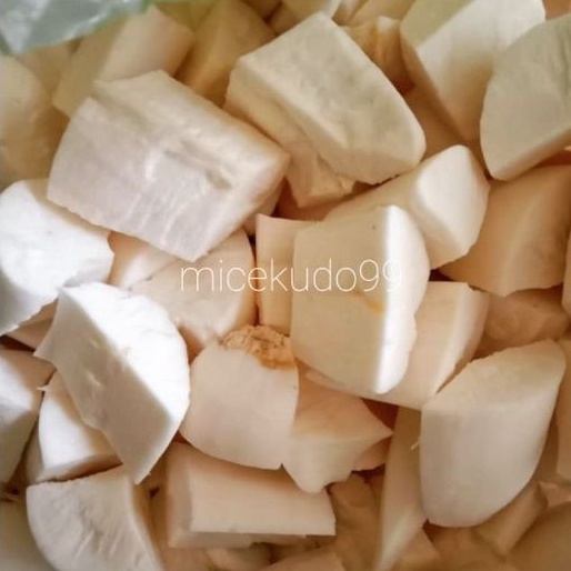 Jual Singkong Kupas Segar Gr Sela Fresh Peeled Cassava Raw Ubi