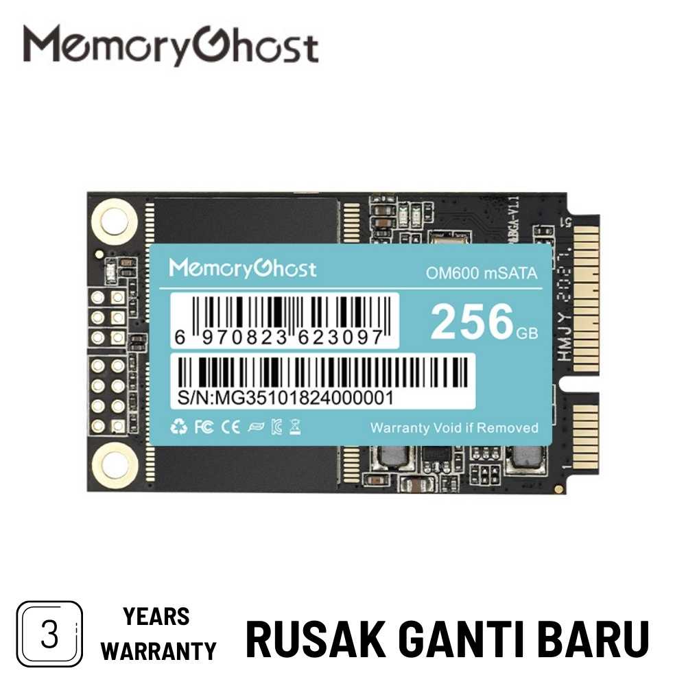 Memory Ghost SSD mSATA 256 GB