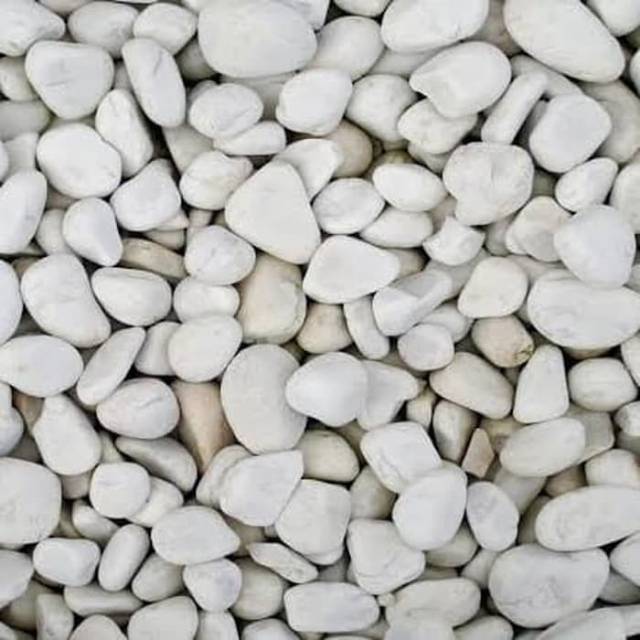 Batu Koral Putih/ Batu hiasan taman 1Kg | Shopee Indonesia