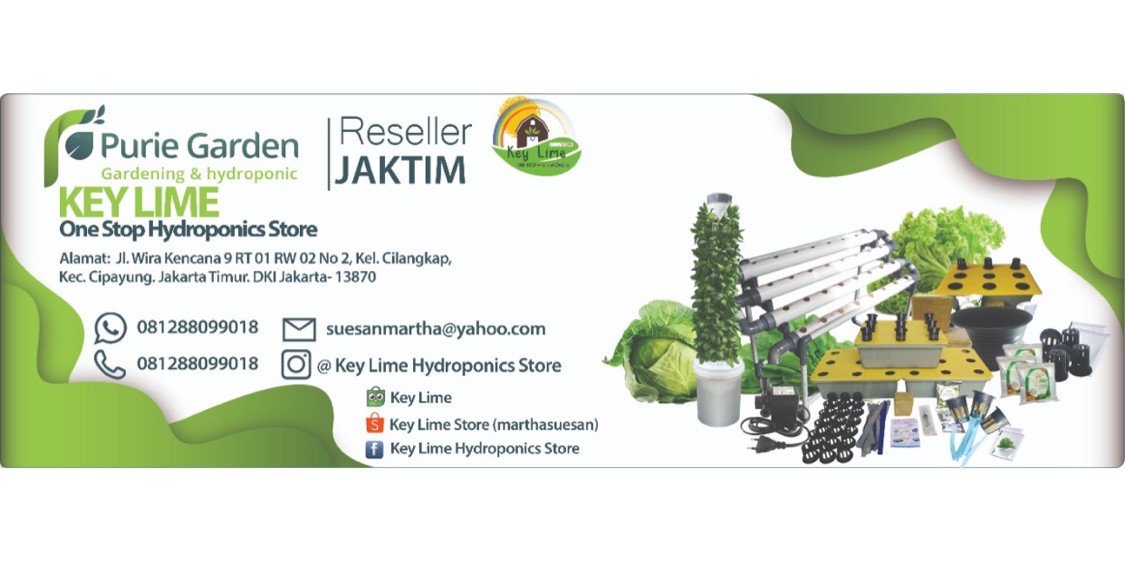 Colins калина молл. метромаркет москва. тц метромаркет москва. владивосток проект. офис lime.