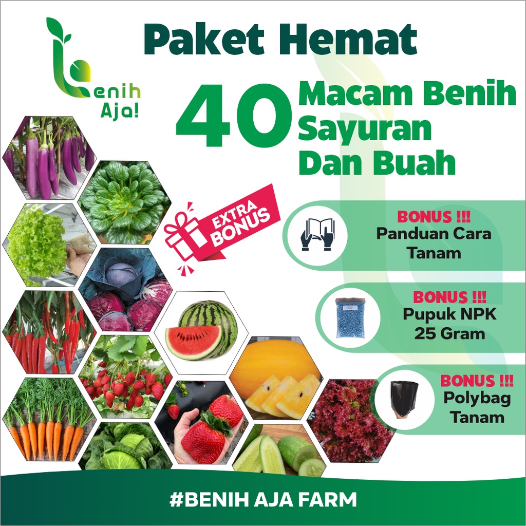 Jual Paket Benih Sayuran Lengkap 40 Macam Jenis Sayur Rumahan Dan Buah