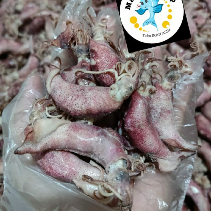 

ikan asin sotong jarum besar kering /cumi asin telur 500 grm - 500 gram - BARU