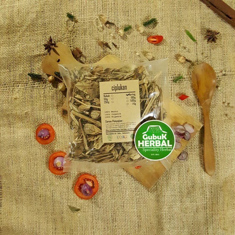 

CIPLUKAN CEPLUKAN KERING 100 GRAM - PHYSALIS ANGULATA - MURNI - JSR - REMPAH