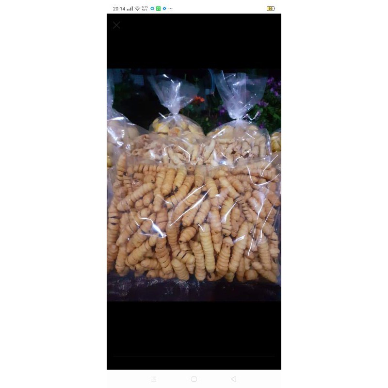 

MolenPisang