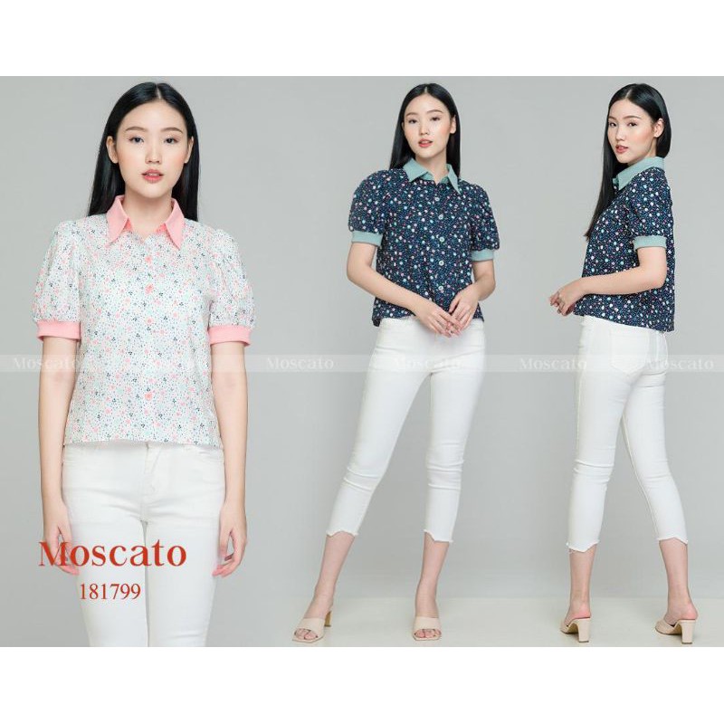 Moscato atasan wanita 181799