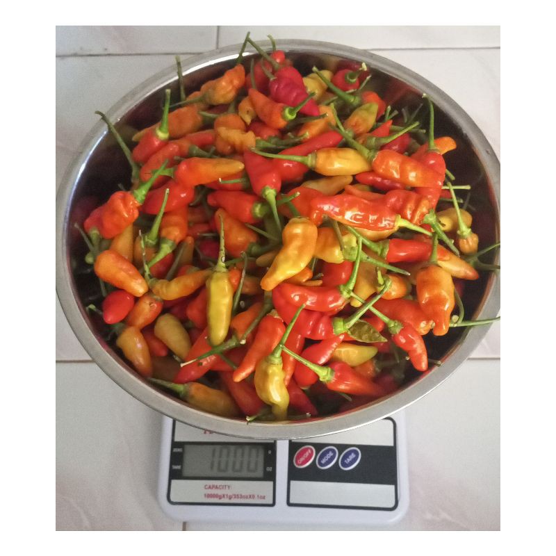 

cabai rawit merah segar | 250 gram