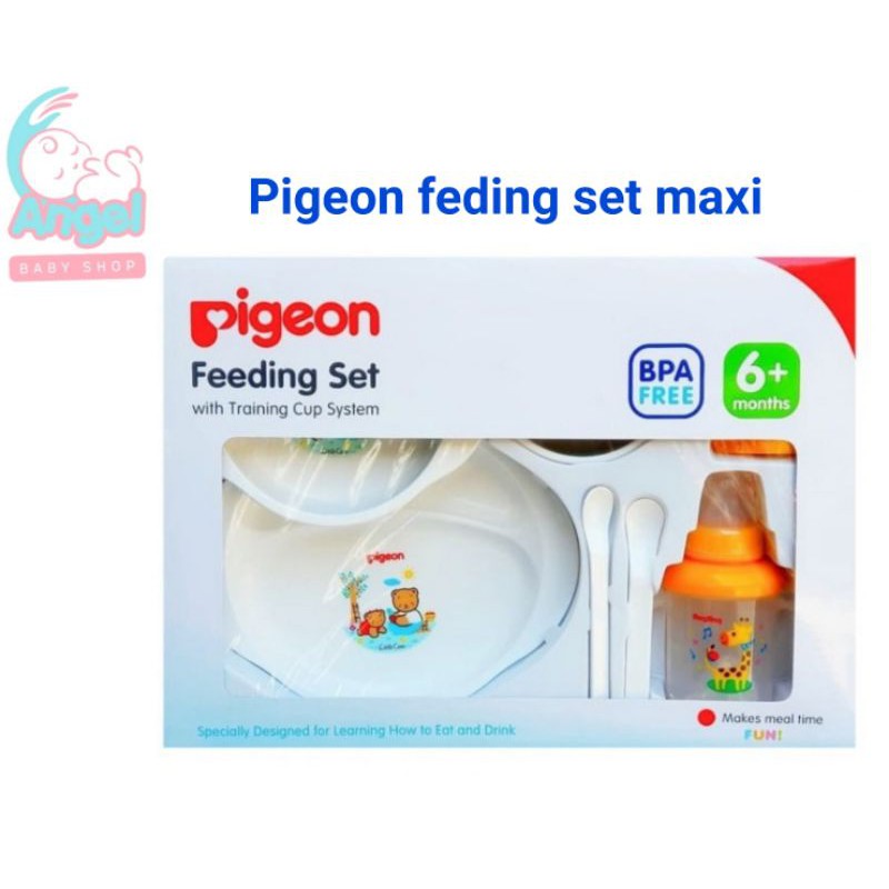 pigeon feding set maxi