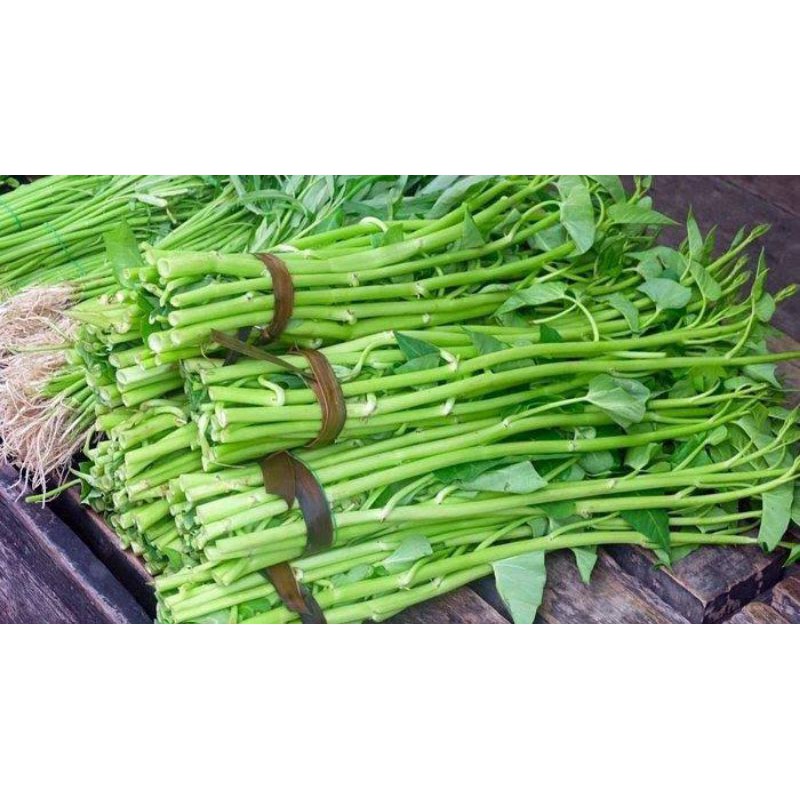 

kangkung 1 ikat