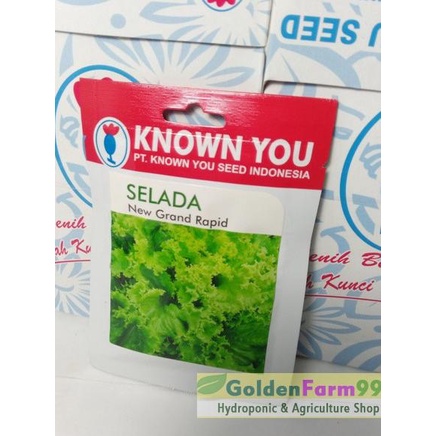 ✹ Benih / bibit selada / Lettuce New Grand Rapid ➧