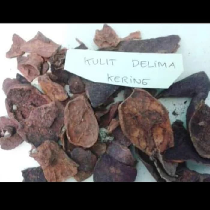 

Kulit Delima Kering / Obat Herbal Alami (1kg)