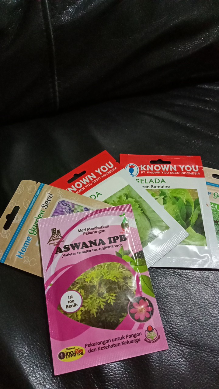 Benih Sayuran Daun Kenikir Bunga Pink / Ungu