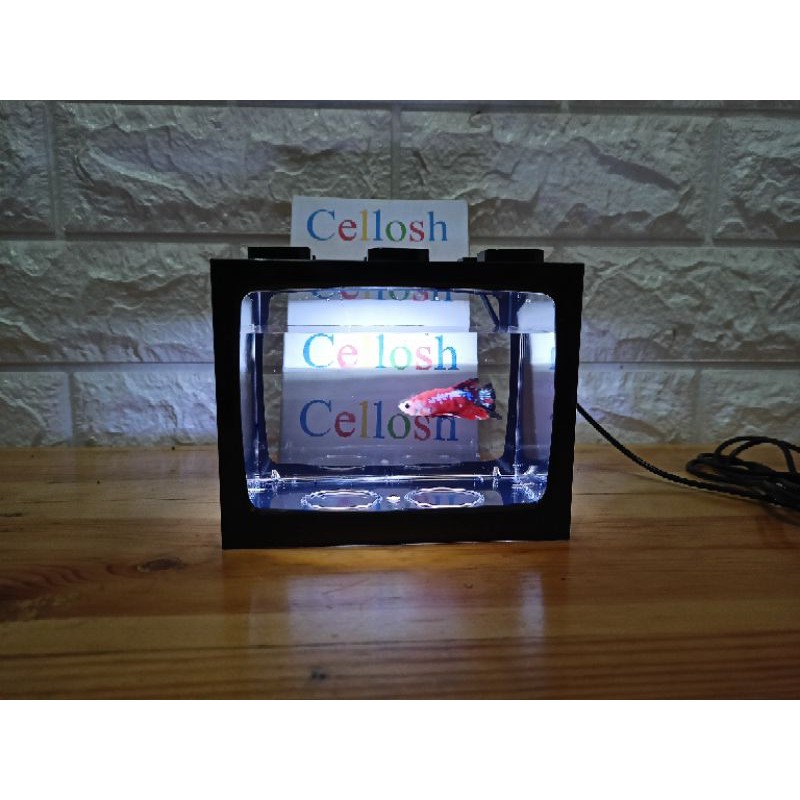 Soliter Cupang Aquarium Ikan Cupang With Led Light - Top5