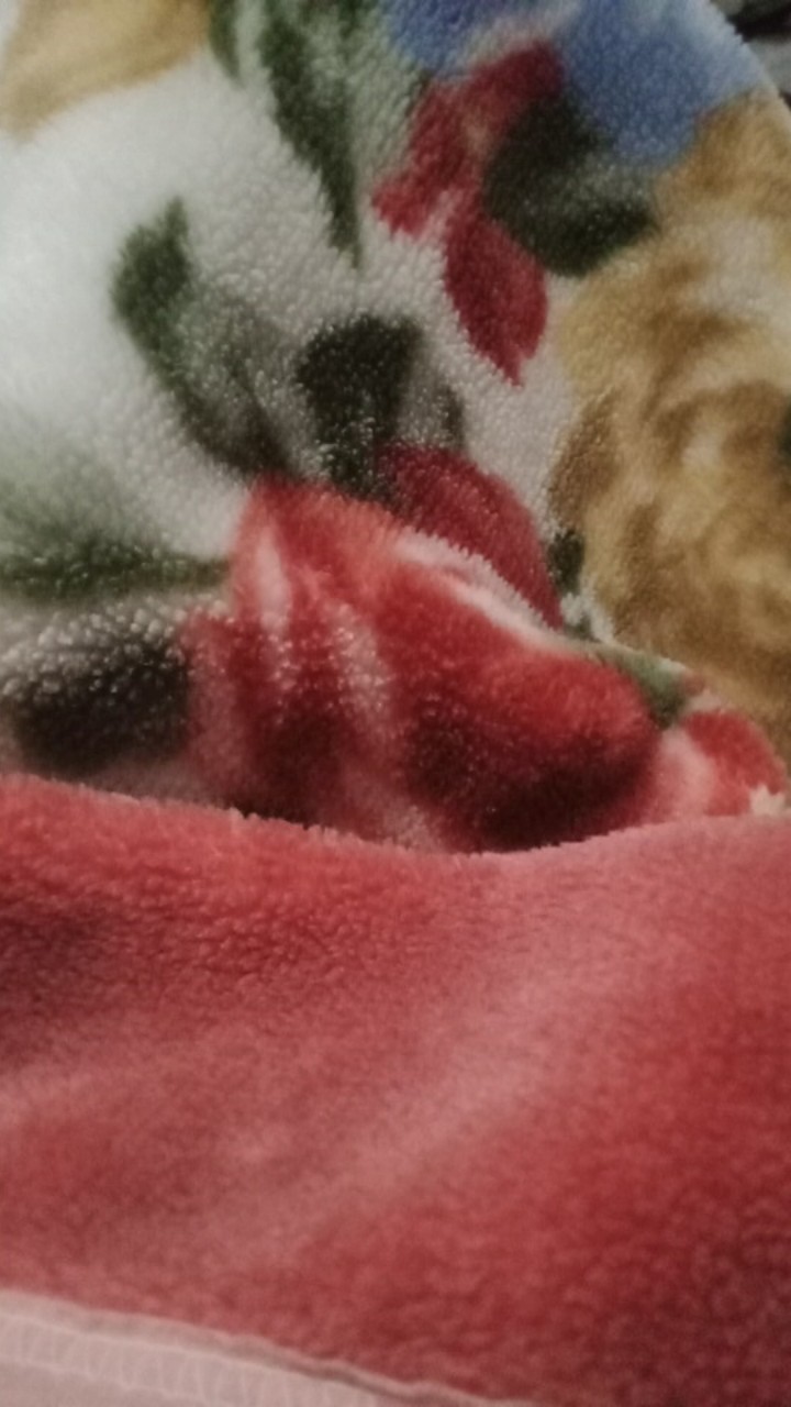 Clean Texs Pembersih Kerak Kamar Mandi Kemasan 1.5 Liter / Wajib Buble Wrap