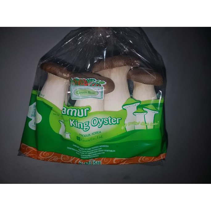 

Promo !! Jamur King Oyster Terbaru