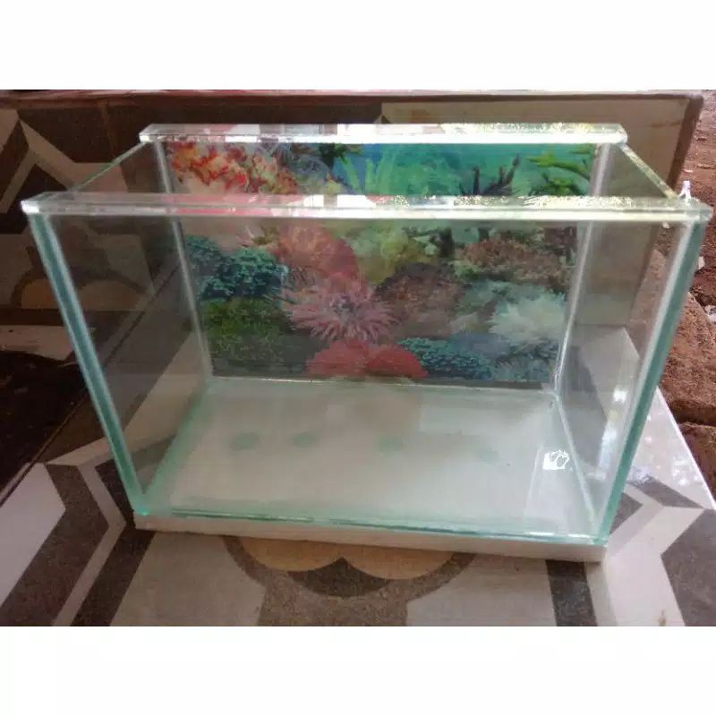 AKUARIUM KACA +BACKGROUND CUSTOM P30xL15Tx20 cm/1pcs