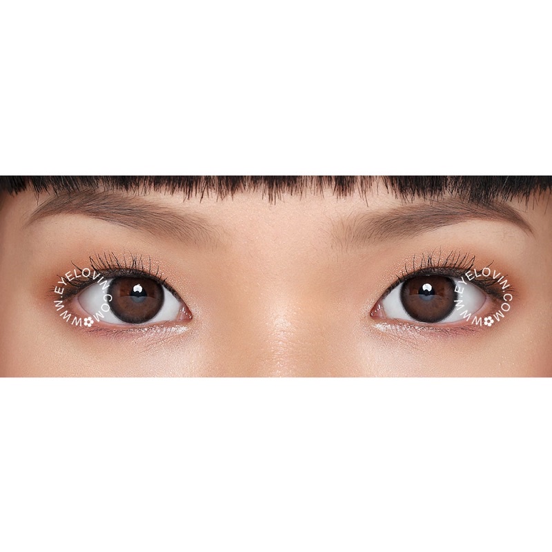 Eyelovin x Patricia Stephanie Softlens Neo Cosmo - True Black N012