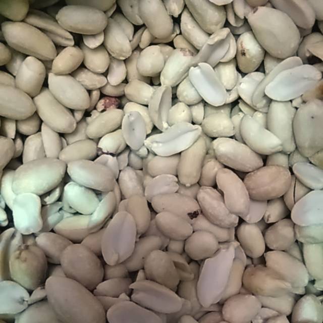 

Kacang tanah kupas kulit 1kg BY MDS