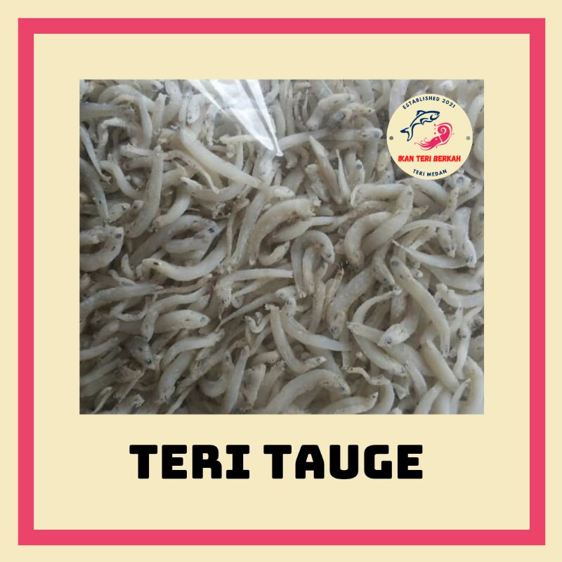 

TERI TAUGE / Teri Tauge Bestseller/ Teri Medan