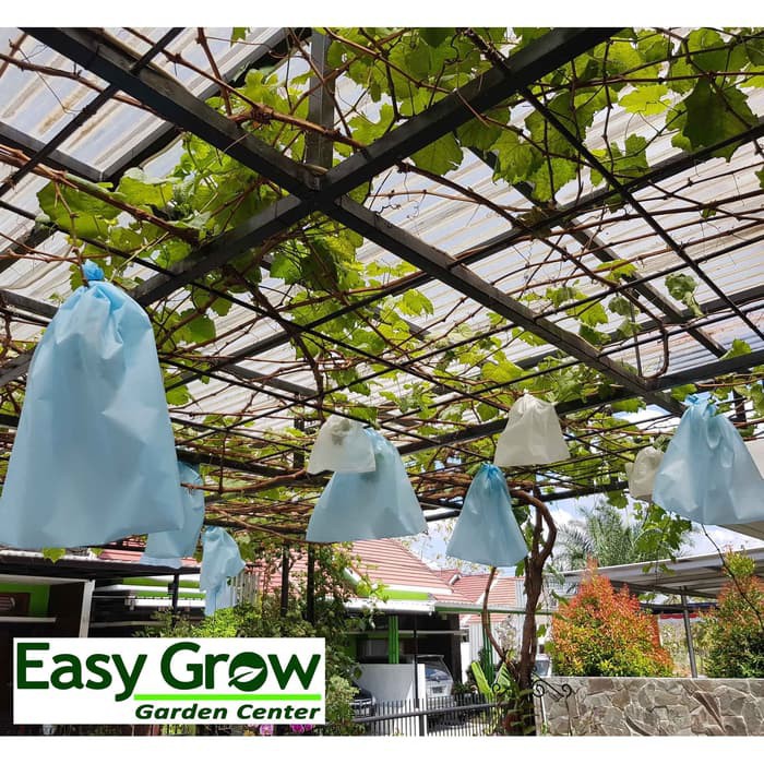 Brongsong Buah / Fruit Cover / Pembungkus Buah / Easy Grow Fruit