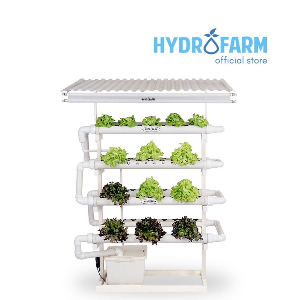 Hydrofarm - NFT Cavana (Sistem Hidroponik)