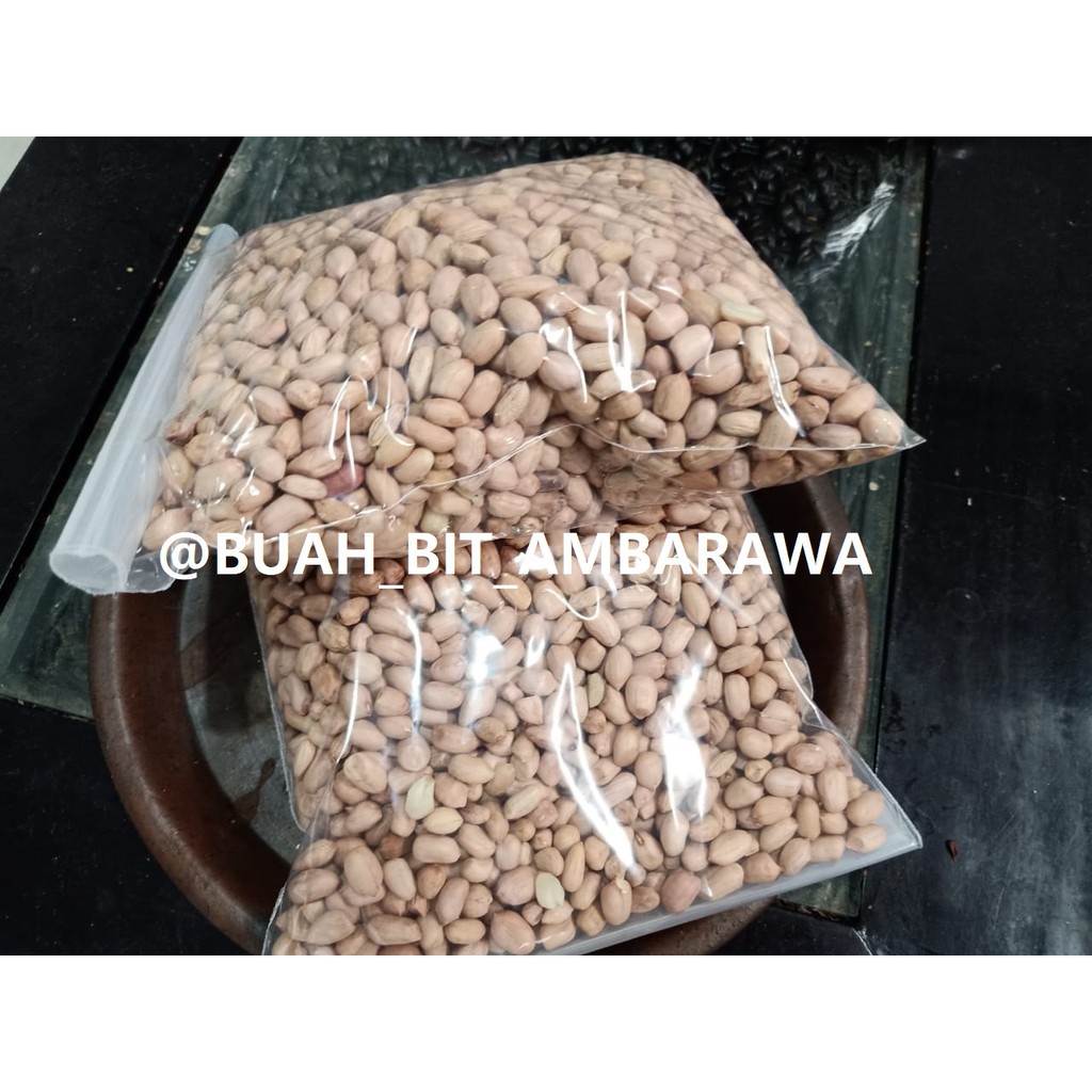

Kacang Tanah Lokal | Kacang Tanah