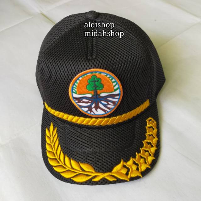 Topi Kementerian lingkungan hidup dan kehutanan /TOPI KLHK