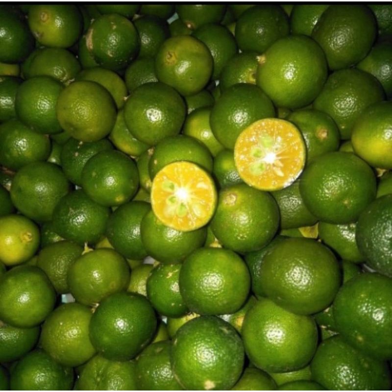 

Buah jeruk songkit/ kasturi/ lemon Cui fresh 1kg