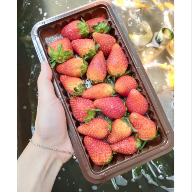 Strawberry Korea