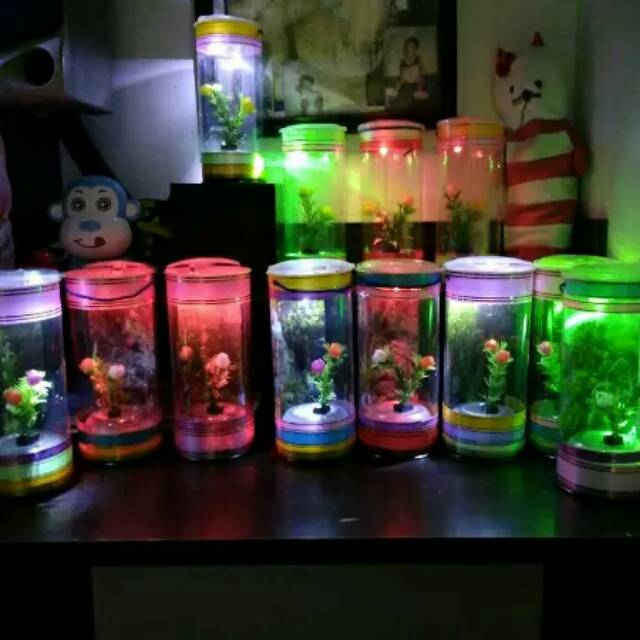  Aquarium  Tabung Mini Mika Kecil Shopee  Indonesia