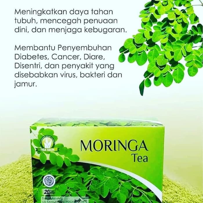 

Teh Moringa untuk Daya Tahan Tubuh