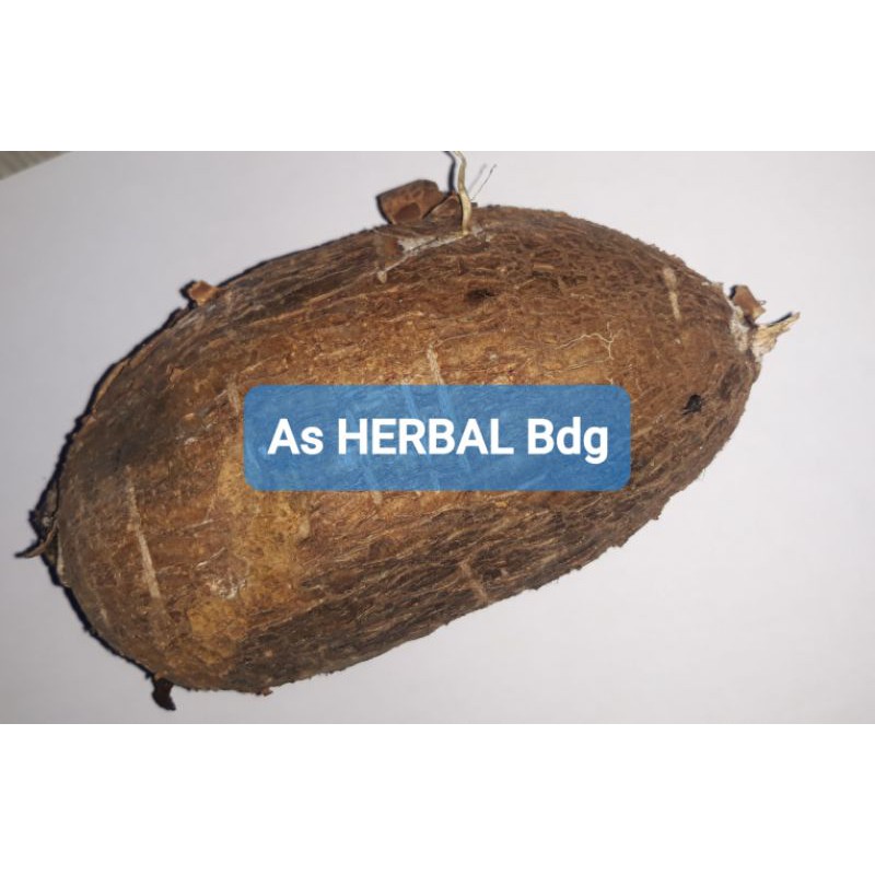 

Paket 500 gram singkong racun sapi kuru fresh-az
