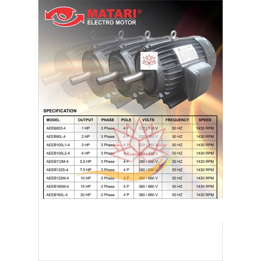 ELectromotor Dinamo penggerak 3Phase Motor Y180L - 4 30HP 30PK MATARI