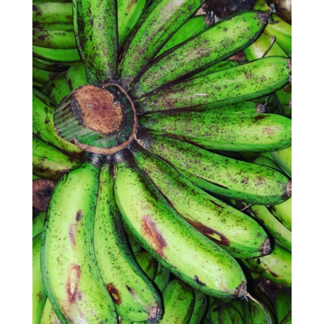 

BUAH PISANG BARANGAN MEDAN 1 SISIR