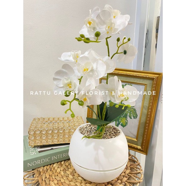 anggrek premium , anggrek cabang 3 , anggrek palsu , anggrek artificial