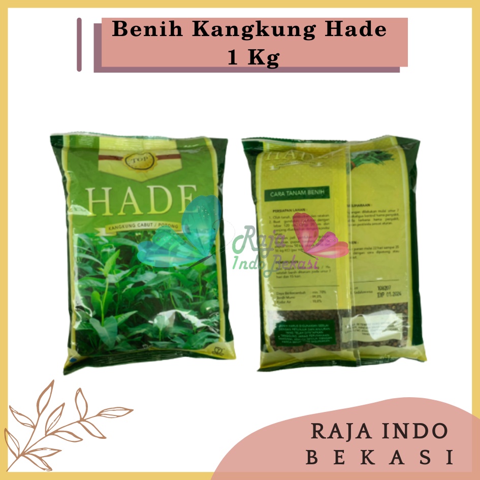 Benih Bibit Kangkung HADE 1 Kg 1000 Gram 100% ORIGINAL Benih Kangkung Bangkok Darat Hidroponik Serimpi Daun Sempit Super - Bibit kangkung &quot;HADE&quot; cabut / potong 1000gr BIBIT KANGKUNG MURAH 1KG