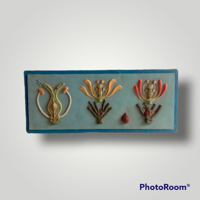 

Penampang model penyerbukan salak alat peraga pendidikan praktek biologi