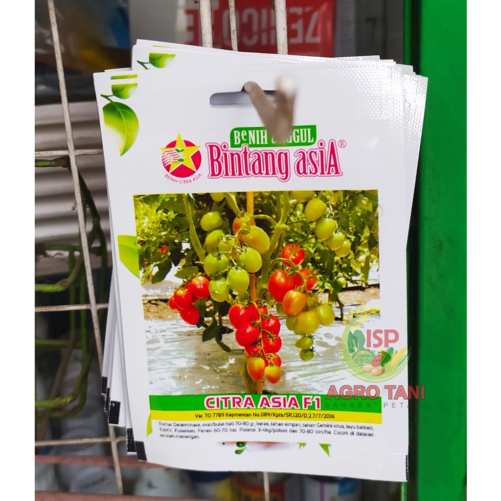 Benih Tomat Citra Asia F1 benih unggul Produk by Bintang Asia