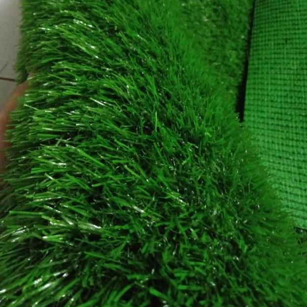 

Alena - Rumput Sintetis Swiss Uk 100X50 Dekorasi Hiasan Taman Q8Mmlpqax1