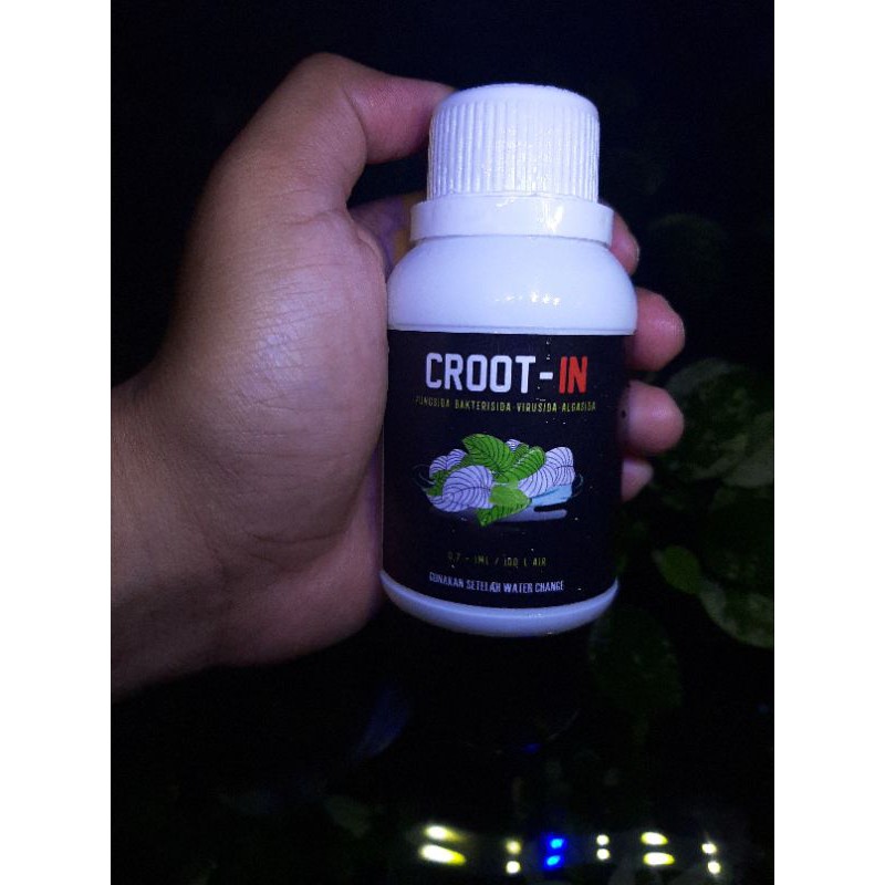 

CROOT-IN