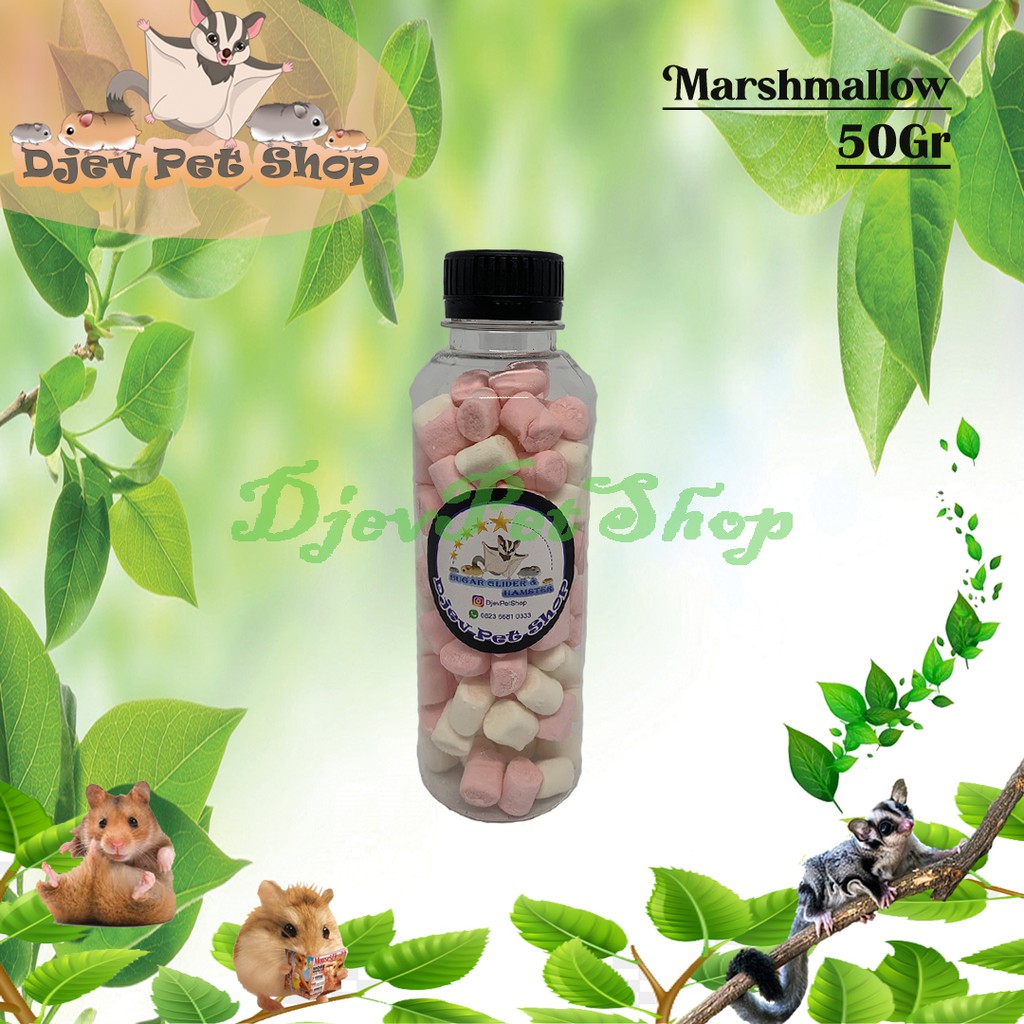 Jual MARSHMALLOW MINI SNACK SUGAR GLIDER MAKANAN SUGAR GLIDER