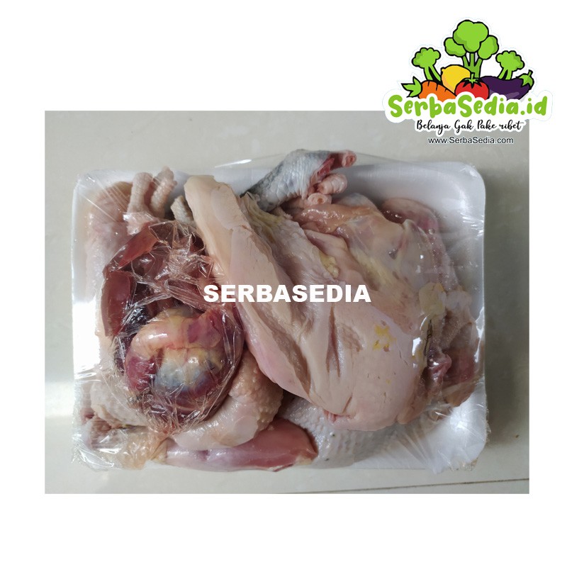 

AYAM KAMPUNG UTUH