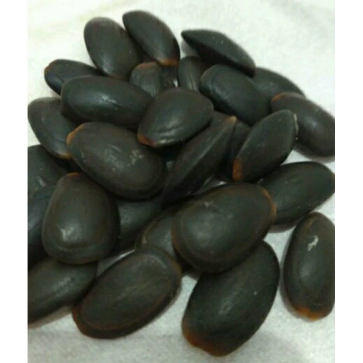 

250 gram Biji Kedawung Super Kelas 1