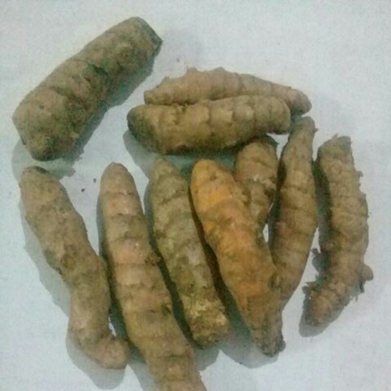 

Kunyit