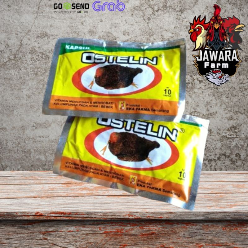 Obat Lumpuh Ayam - OSTELIN