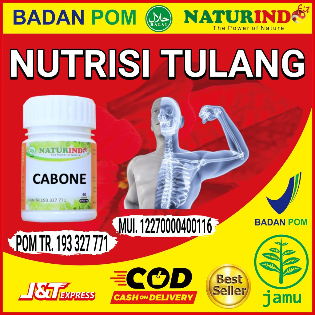 Obat Herbal penguat tulang, obat nutrisi tulang, penguat tulang paling ampuh, herbal nutri tulang paling ampuh