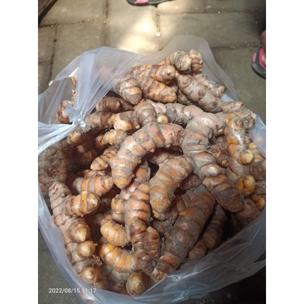 

Kunir 1kg
