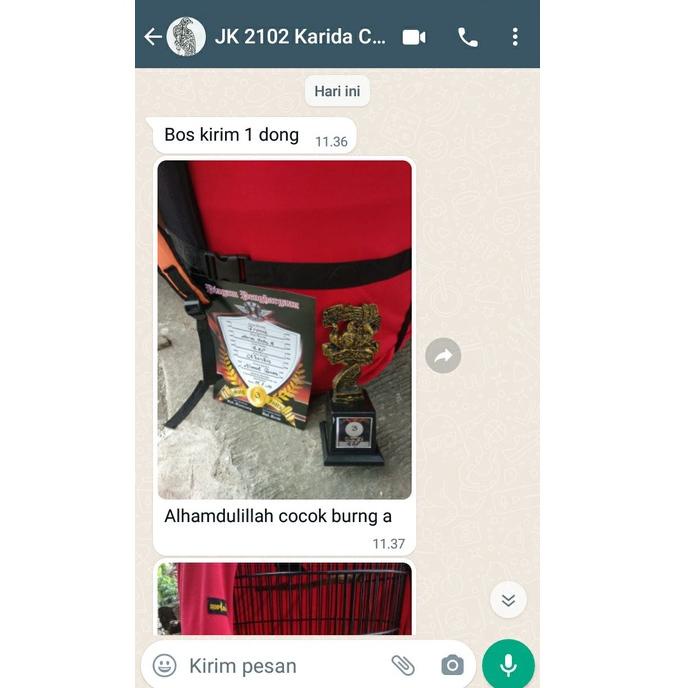 (I-IKY ㊚) Juragan Kicau - Doping Obat Vitamin Burung Gacor Lomba Lovebird Ngekek Panjang Konslet Fig